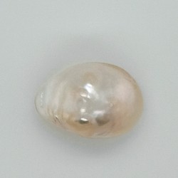 Pearl  (Moti) 7.1 Ct Certified